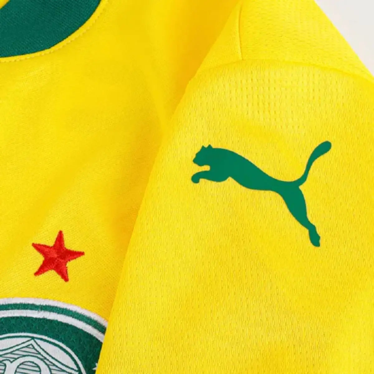 Camisa Feminina Puma Palmeiras 2025/26 III Torcedor