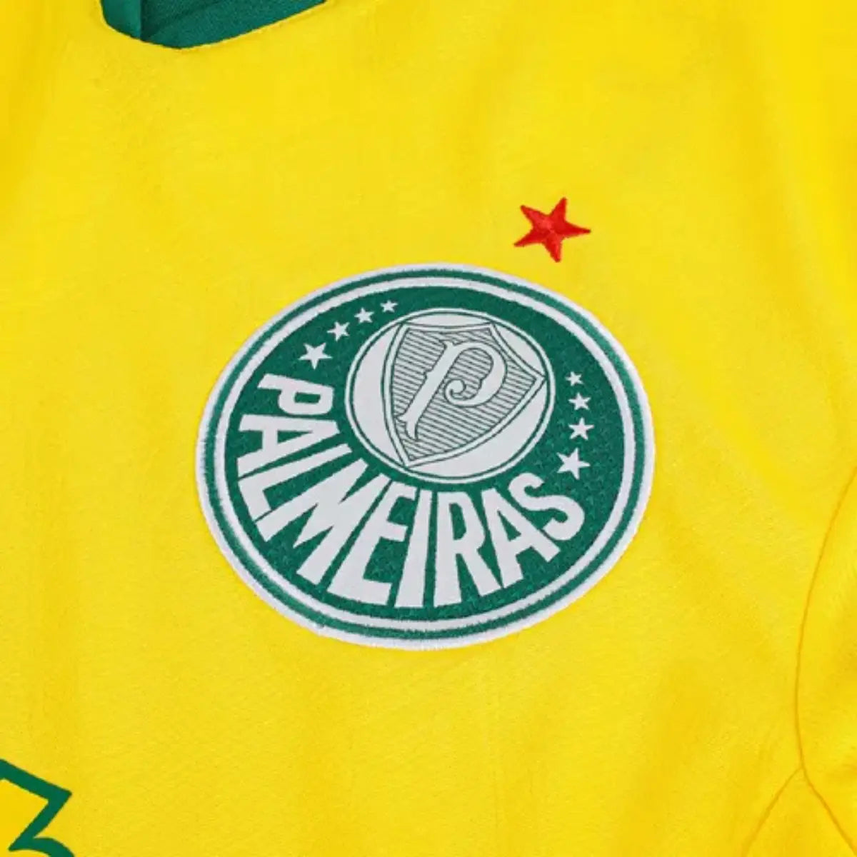 Camisa Feminina Puma Palmeiras 2025/26 III Torcedor